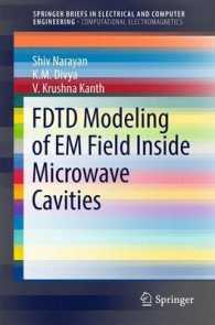FDTD Modeling of EM Field inside Microwave Cavities (Springerbriefs in Electrical and Computer Engineering)