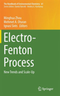 Electro-Fenton Process : New Trends and Scale-Up (The Handbook of Environmental Chemistry)