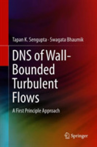 DNS of Wall-Bounded Turbulent Flows : A First Principle Approach