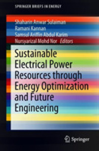 Sustainable Electrical Power Resources through Energy Optimization and Future Engineering (Springerbriefs in Energy)