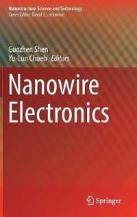 Nanowire Electronics (Nanostructure Science and Technology)
