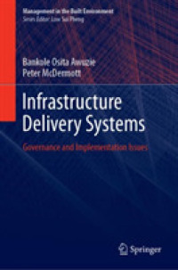 Infrastructure Delivery Systems : Governance and Implementation Issues (Management in the Built Environment)