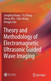 Theory and Methodology of Electromagnetic Ultrasonic Guided Wave Imaging