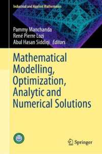 Mathematical Modelling, Optimization, Analytic and Numerical Solutions (Industrial and Applied Mathematics)