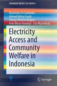 Electricity Access and Community Welfare in Indonesia (Springerbriefs in Energy)