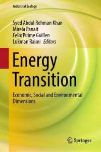 Energy Transition : Economic, Social and Environmental Dimensions (Industrial Ecology)