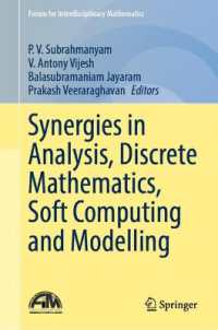 Synergies in Analysis, Discrete Mathematics, Soft Computing and Modelling (Forum for Interdisciplinary Mathematics)