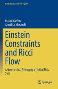 Einstein Constraints and Ricci Flow : A Geometrical Averaging of Initial Data Sets (Mathematical Physics Studies)