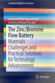 The Zinc/Bromine Flow Battery : Materials Challenges and Practical Solutions for Technology Advancement (Springerbriefs in Energy)
