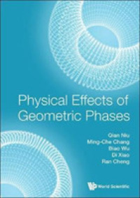 幾何学的相の物理<br>Physical Effects of Geometric Phases