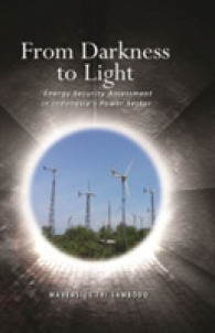 From Darkness to Light : Energy Security Assessment in Indonesia's Power Sector