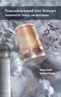 ナノ構造ガスセンサー（テキスト）<br>Nanostructured Gas Sensors : Fundamentals, Devices, and Applications