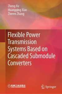 Flexible Power Transmission Systems Based on Cascaded Submodule Converters