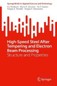 High-Speed Steel after Tempering and Electron Beam Processing : Structure and Properties (Springerbriefs in Applied Sciences and Technology)