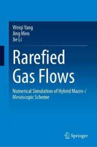Rarefied Gas Flows : Numerical Simulation of Hybrid Macro-/Mesoscopic Scheme