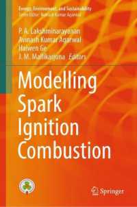 Modelling Spark Ignition Combustion (Energy, Environment, and Sustainability)