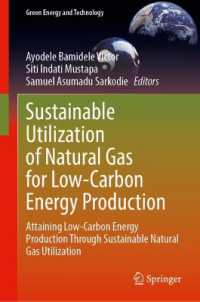 Sustainable Utilization of Natural Gas for Low-Carbon Energy Production : Attaining Low-Carbon Energy Production through Sustainable Natural Gas Utilization (Green Energy and Technology)