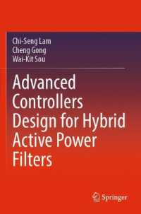 Advanced Controllers Design for Hybrid Active Power Filters