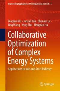 Collaborative Optimization of Complex Energy Systems : Applications in Iron and Steel Industry (Engineering Applications of Computational Methods)