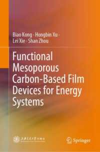 Functional Mesoporous Carbon-Based Film Devices for Energy Systems （2024）