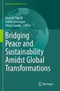 Bridging Peace and Sustainability Amidst Global Transformations (World Sustainability Series)