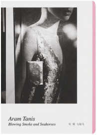 Aram Tanis : Blowing Smoke and Seahorses