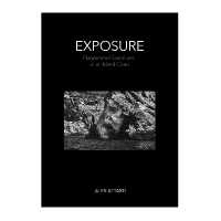 Exposure : Fragmented Sculptures of an Island Coast