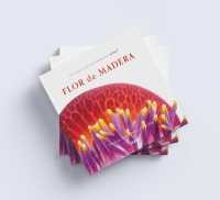 Flor de Madera : A Journey into the Intimacy of the Tree