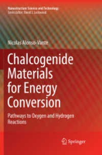 Chalcogenide Materials for Energy Conversion : Pathways to Oxygen and Hydrogen Reactions (Nanostructure Science and Technology)