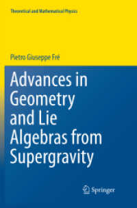 Advances in Geometry and Lie Algebras from Supergravity (Theoretical and Mathematical Physics)