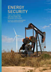 Energy Security : Policy Challenges and Solutions for Resource Efficiency （Softcover Reprint of the Original 1st 2019）