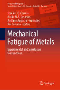 Mechanical Fatigue of Metals : Experimental and Simulation Perspectives (Structural Integrity)