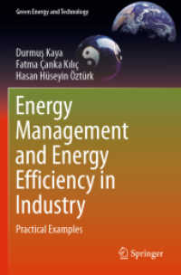 Energy Management and Energy Efficiency in Industry : Practical Examples (Green Energy and Technology)