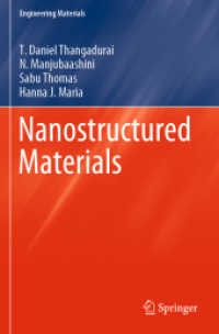 Nanostructured Materials (Engineering Materials)