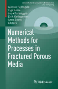 Numerical Methods for Processes in Fractured Porous Media (Lecture Notes in Geosystems Mathematics and Computing) （2019）