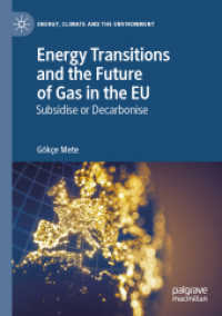 Energy Transitions and the Future of Gas in the EU : Subsidise or Decarbonise (Energy, Climate and the Environment) （2020）
