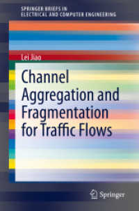 Channel Aggregation and Fragmentation for Traffic Flows (Springerbriefs in Electrical and Computer Engineering) （2020）