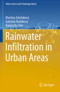 Rainwater Infiltration in Urban Areas (Water Science and Technology Library) （2020）