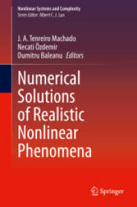 Numerical Solutions of Realistic Nonlinear Phenomena (Nonlinear Systems and Complexity)