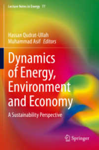 Dynamics of Energy, Environment and Economy : A Sustainability Perspective (Lecture Notes in Energy)