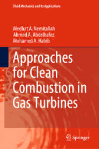 Approaches for Clean Combustion in Gas Turbines (Fluid Mechanics and Its Applications)