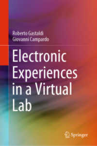 Electronic Experiences in a Virtual Lab