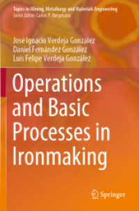 Operations and Basic Processes in Ironmaking (Topics in Mining, Metallurgy and Materials Engineering)