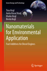 Nanomaterials for Environmental Application : Fuel Additives for Diesel Engines (Green Energy and Technology)