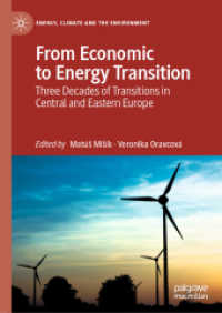 From Economic to Energy Transition : Three Decades of Transitions in Central and Eastern Europe (Energy, Climate and the Environment)