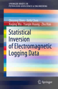 Statistical Inversion of Electromagnetic Logging Data (Springerbriefs in Petroleum Geoscience & Engineering)