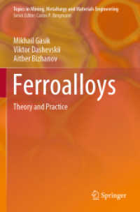 Ferroalloys : Theory and Practice (Topics in Mining, Metallurgy and Materials Engineering)