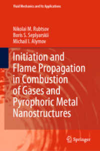 Initiation and Flame Propagation in Combustion of Gases and Pyrophoric Metal Nanostructures (Fluid Mechanics and Its Applications)