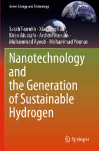 Nanotechnology and the Generation of Sustainable Hydrogen (Green Energy and Technology)
