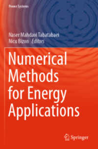 Numerical Methods for Energy Applications (Power Systems)